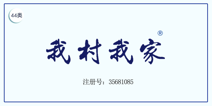 我村我家